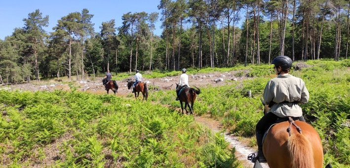 Week-end à cheval en forêt de Fontainebleau - Caval&go