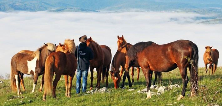 Randonnée équestre à travers le Karst Slovène - Caval&go