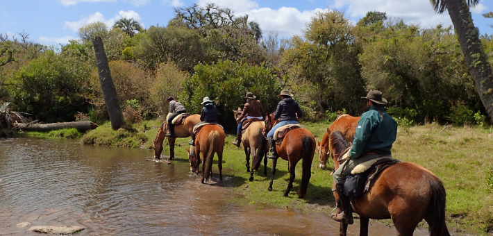 Chevauchée uruguayenne et immersion chez les gauchos - Caval&go