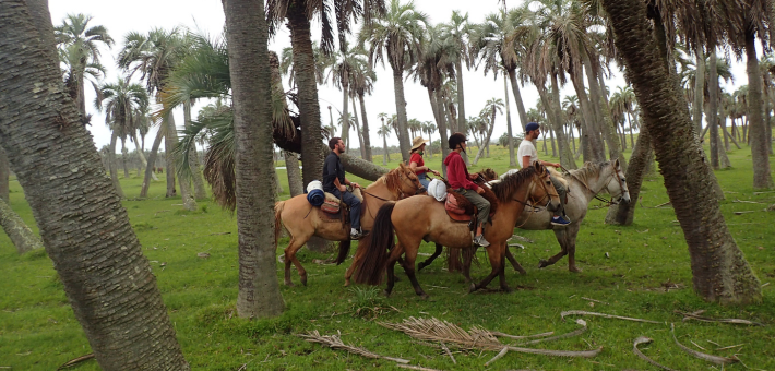 Chevauchée uruguayenne et immersion chez les gauchos - Caval&go