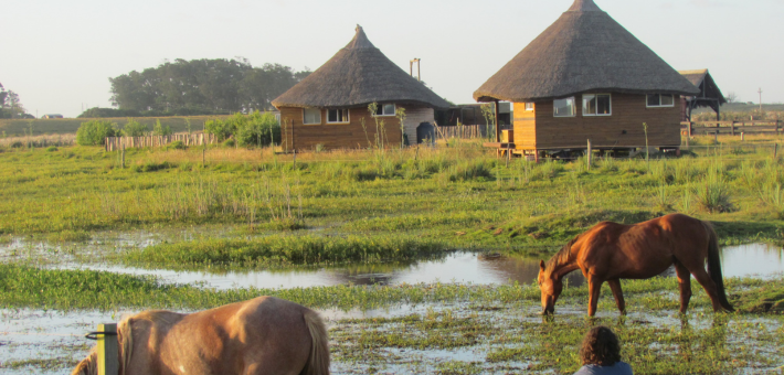 Chevauchée uruguayenne et immersion chez les gauchos - Caval&go