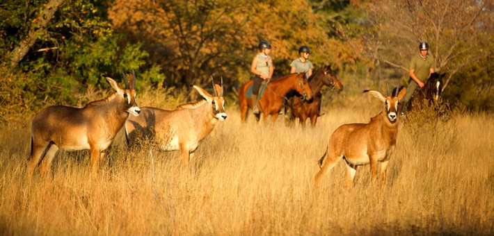 Séjour en lodge haut de gamme et safari à cheval - Caval&go