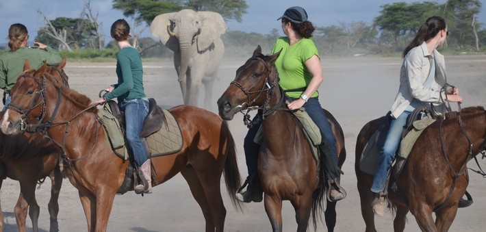 Safari à cheval sur les traces des éléphants du Kilimandjaro - Tanzanie - Caval&go