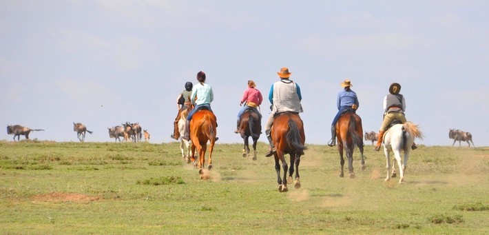 La grande migration du Serengeti à cheval en Tanzanie - Caval&go