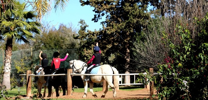 Stage perfectionnement et initiation pour familles à Marrakech - Caval&go