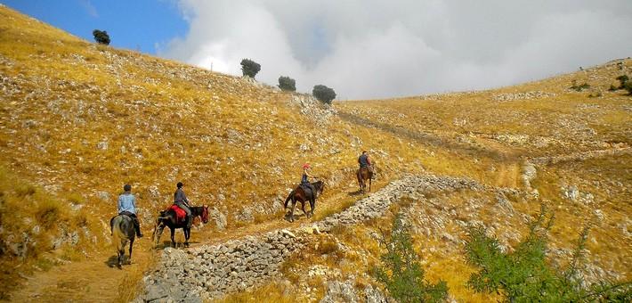 Vacances à cheval dans les Madonies de Sicile