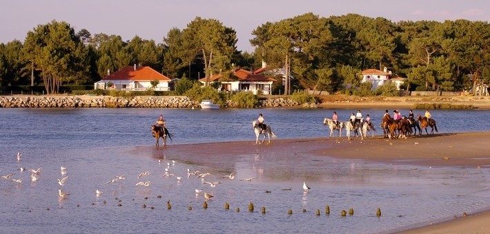 Séjour équestre à la carte sur les plages de l