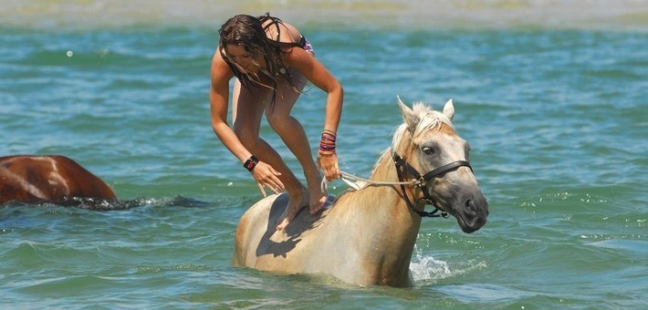Séjour équestre à la carte sur les plages de l