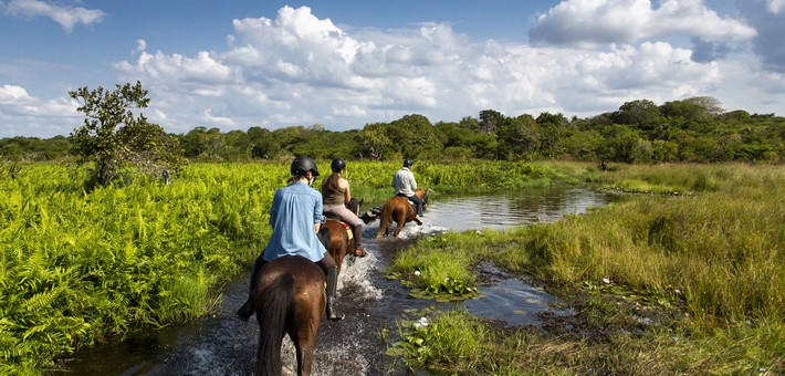 Escapade à cheval au Mozambique, entre mer, lagons et dunes de sable - Caval&go