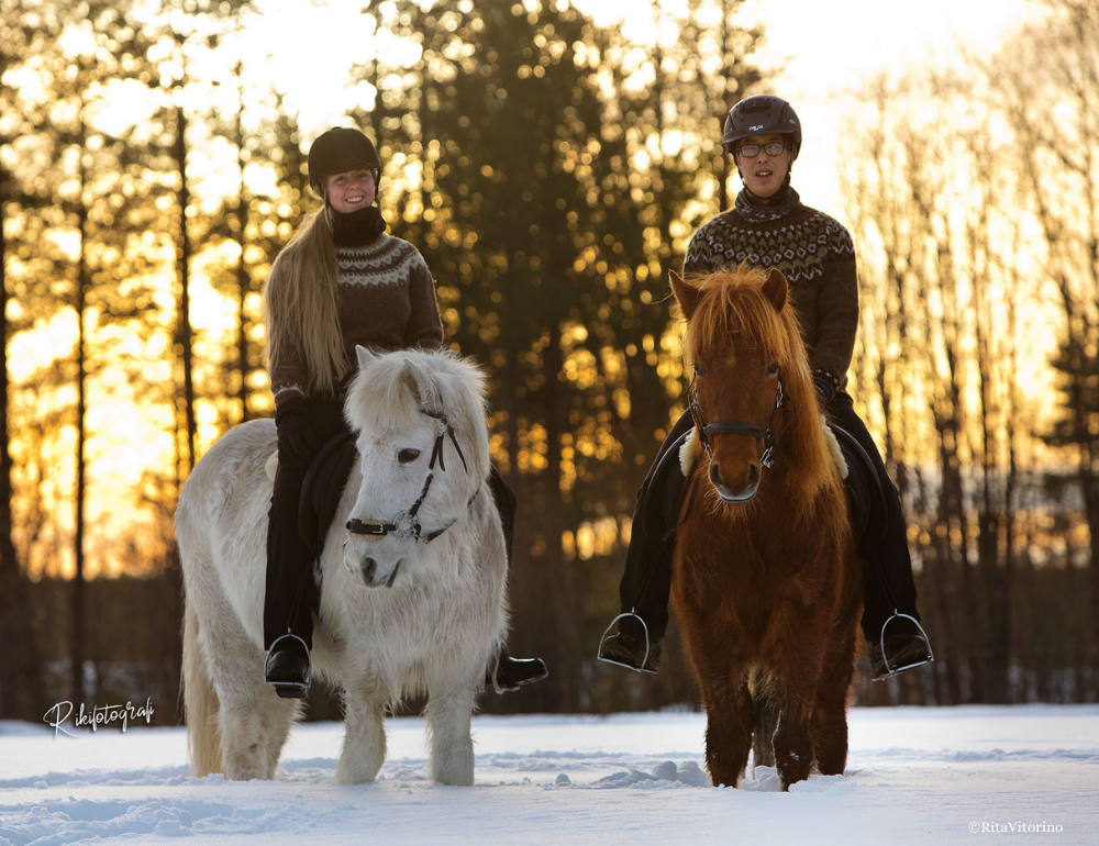 Séjour à cheval dans la neige, avec chiens de traîneau, ski et randonnée en Laponie suédoise