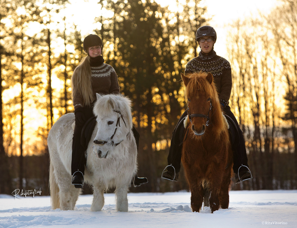 L'équitation western : Les bonnes pratiques et équipement à respecter -  Randonné Equestre Dordogne : Centre d'équitation de Nouvelle Aquitaine