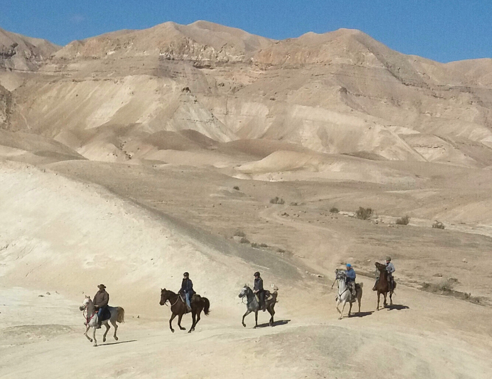 Randonnée équestre sportive en Israël 