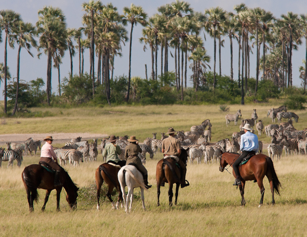 Safari à cheval du delta de l'Okavango au désert du Kalahari au Botswana