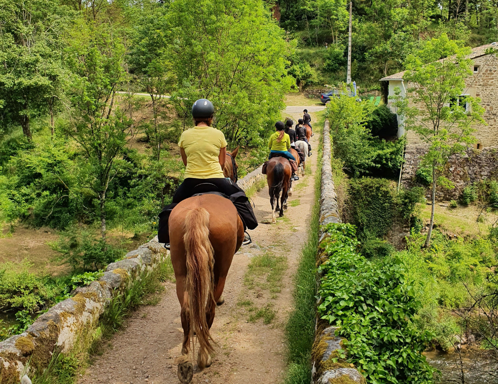 Randonnée à cheval pour les jeunes de 12/15 ans en Ardèche