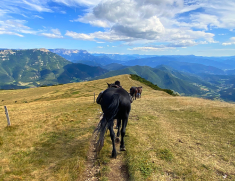 Randonnée à cheval à travers les hauts plateaux du Vercors