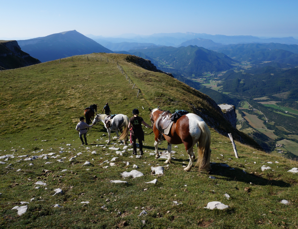 Randonnée à cheval à travers les hauts plateaux du Vercors