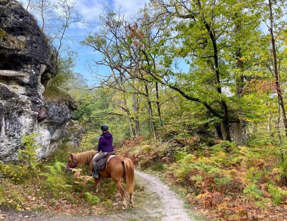 Bon cadeau balade à cheval en forêt de Chantilly - A Cheval En