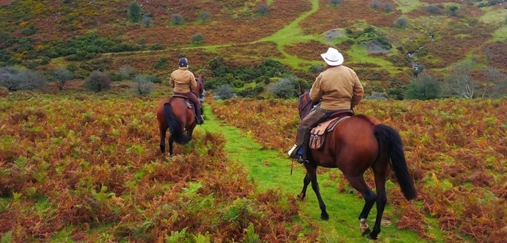 Randonnée équestre western dans le parc du Dartmoor en Angleterre
