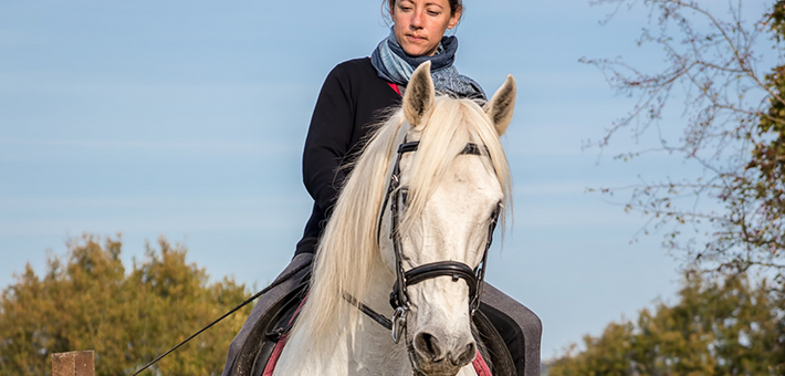 Stage privé de remise en confiance avec les chevaux en Mayenne - Caval&go