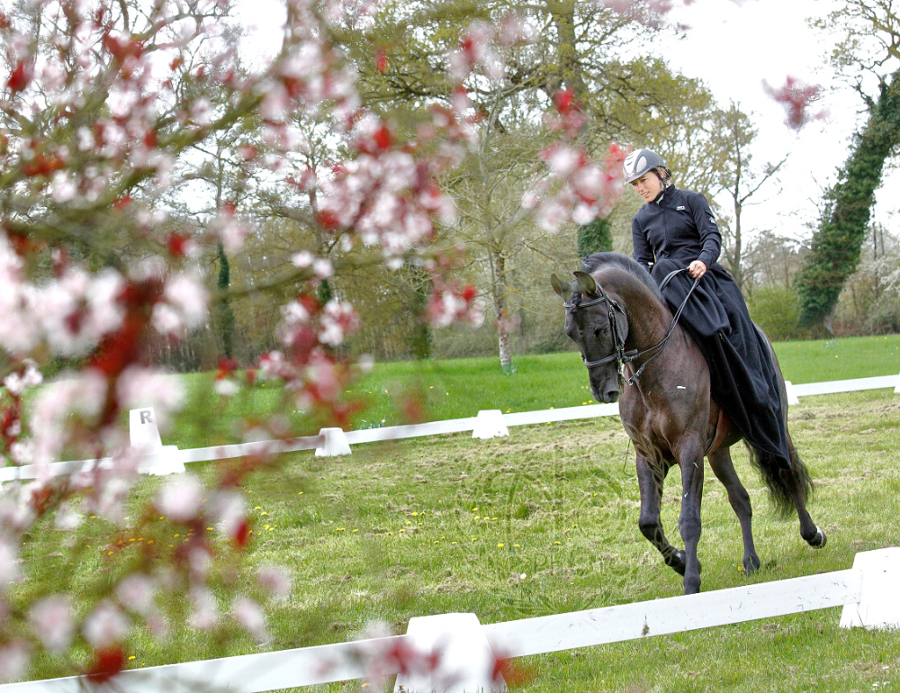 Stage d'équitation en amazone en Mayenne