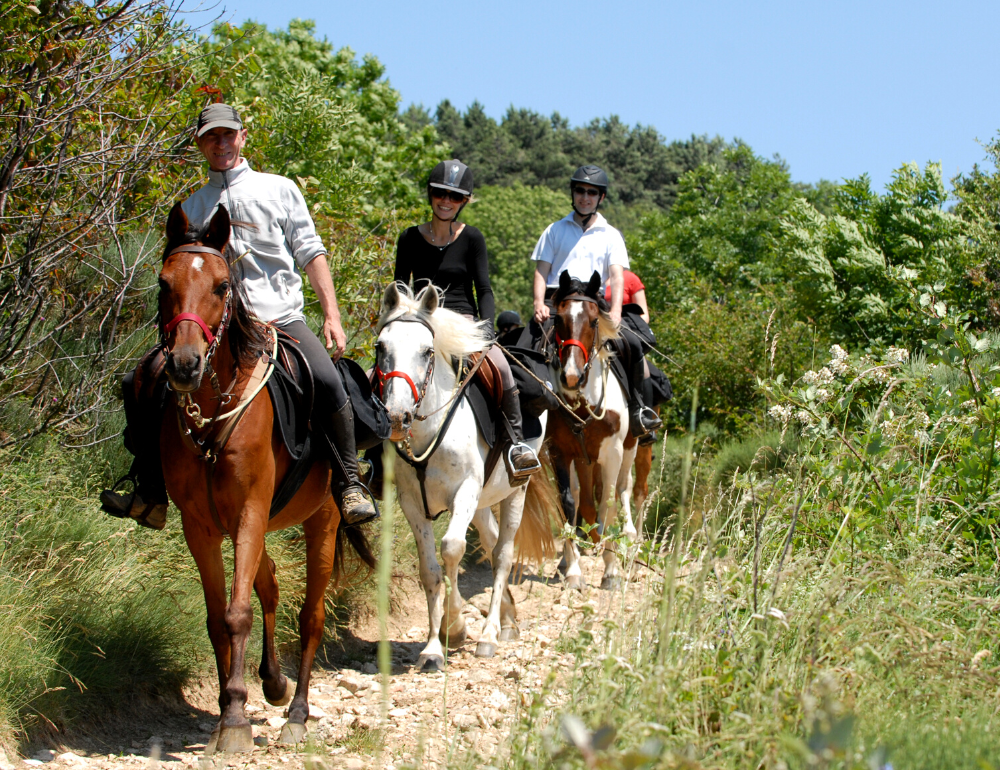 Escapade à cheval vers les châteaux au cœur de l'Ardèche 