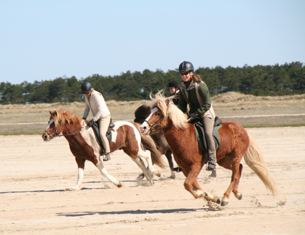 Séjour équestre sur mesure, bon cadeau - Destinations Cheval