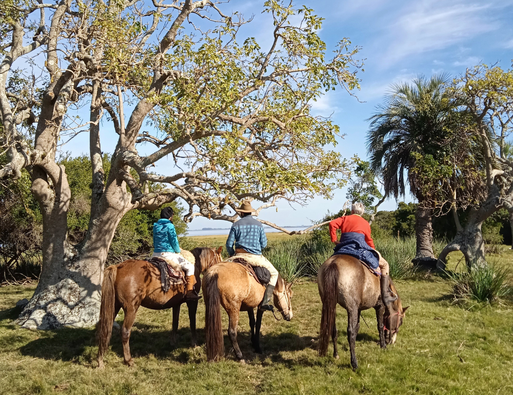 Immersion chez les gauchos, tri de bétail et randonnée à cheval en Uruguay