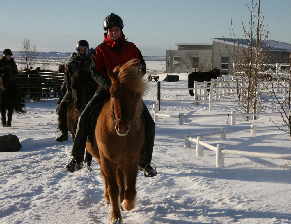 Randonnée équestre hivernale et découverte du sud de l’Islande accompagnée par Three Hearts