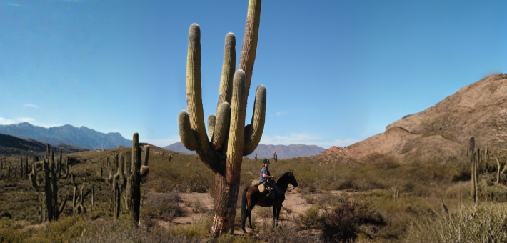 Randonnée à cheval en Argentine à Salta – Sur les chemins des Incas, version longue au cœur des Andes