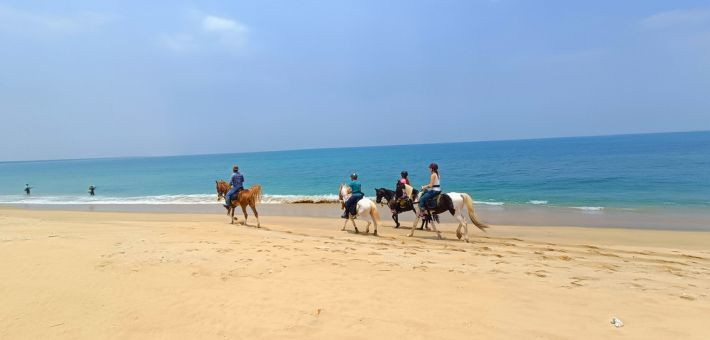 Randonnée équestre au Sri Lanka, la perle de l