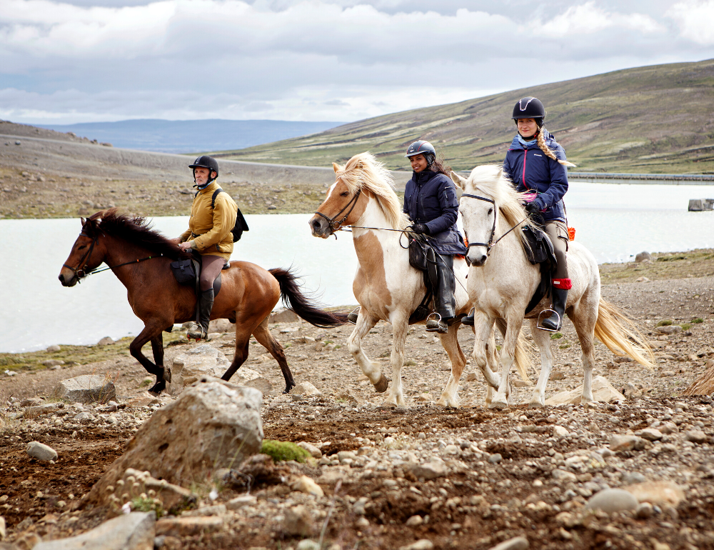 Randonnée équestre dans les terres sauvages de Kjölur, Islande