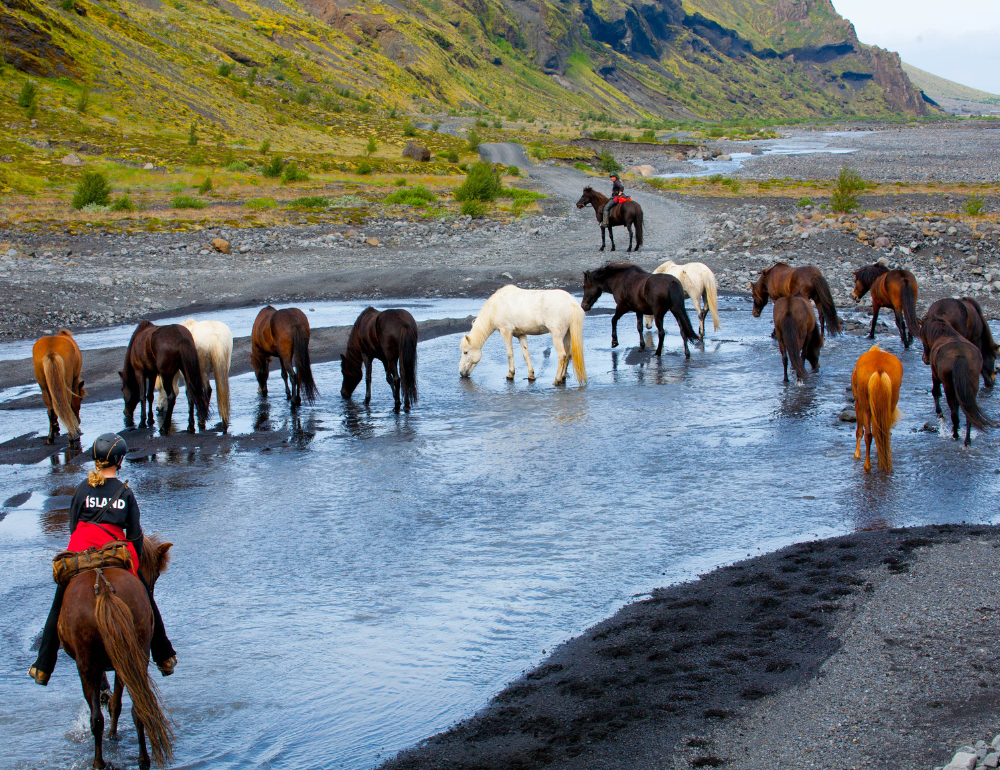 Randonnée équestre dans la vallée de Thórsmörk en Islande