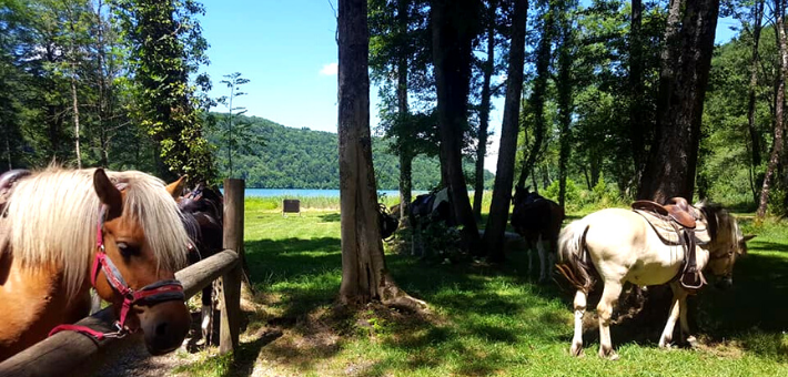 Week end à cheval sur la trace des bisons d