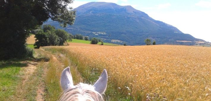 Week-end à cheval pour tous dans les Alpes -  Caval&go