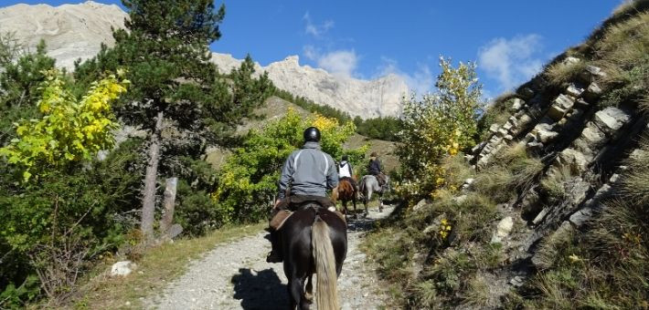 Chevauchée retrouvance dans la nature sauvage des Alpes - Caval&go