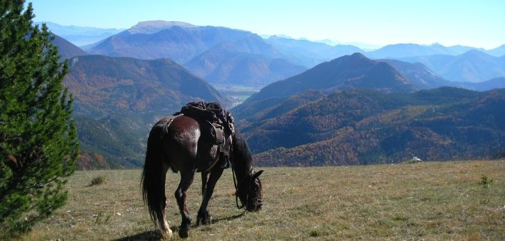 Randonnée équestre dans les Alpes, aux portes du Dévoluy - Caval&go