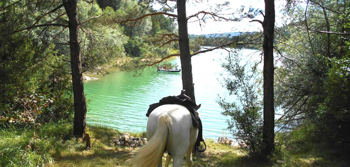 Escapade équestre à la découverte des lacs et cascades du Jura - Caval&go