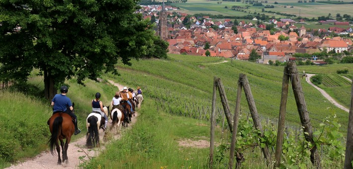 Randonnée à cheval itinérante entre montagnes et vignes - Caval&go