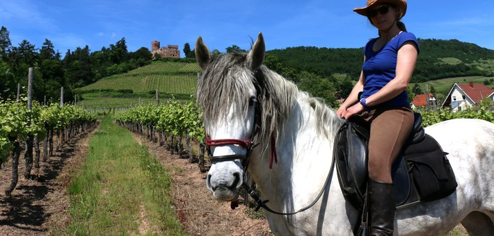 Randonnée à cheval itinérante entre montagnes et vignes - Caval&goo
