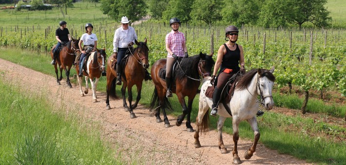 Randonnée à cheval itinérante entre montagnes et vignes - Caval&go