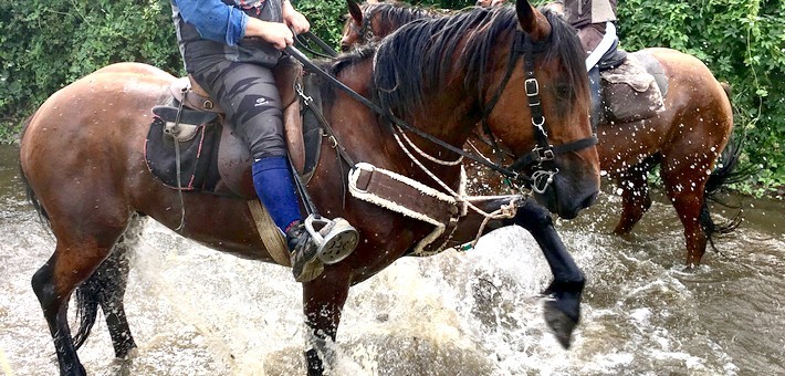 Randonnée à cheval aux pays Beaujolais et Mâconnais - Caval&go