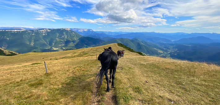 Plateau d