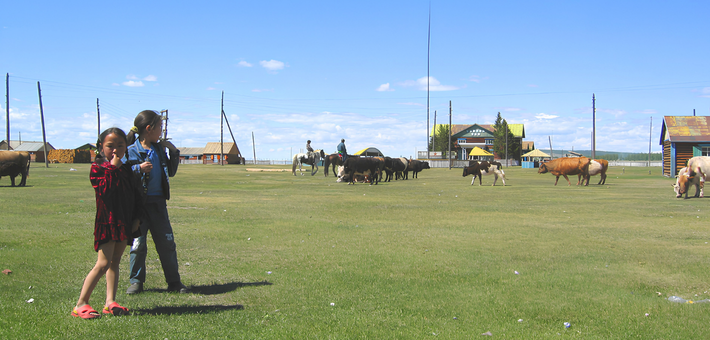 Randonnée à cheval en autonomie dans la région du Khentii - Caval&go