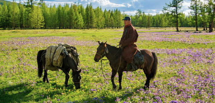 Randonnée à cheval en autonomie dans la région du Khentii - Caval&go