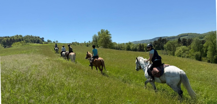 Randonnée à cheval du pays de Crussol au lac de Devesset en Ardèche - Caval&go
