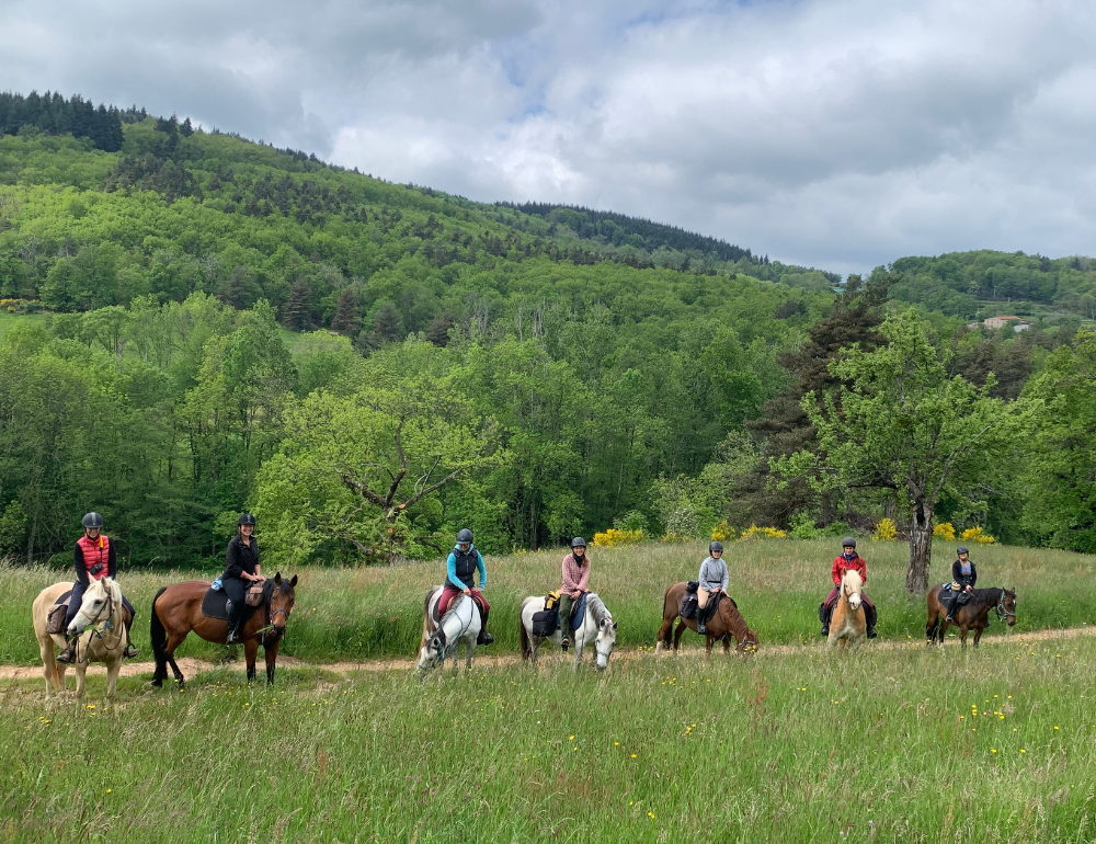 Randonnée à cheval sur les plateaux ardéchois : entre Ardèche et Haute Loire