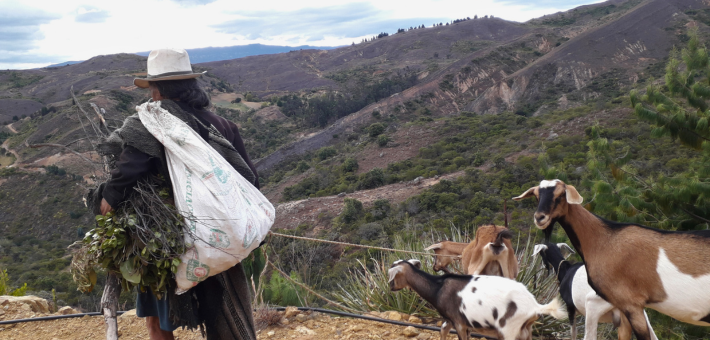 Randonnée équestre à la Villa de Leyva - Caval&go