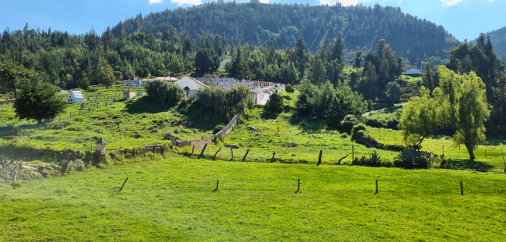 Randonnée équestre à la Villa de Leyva - Caval&go