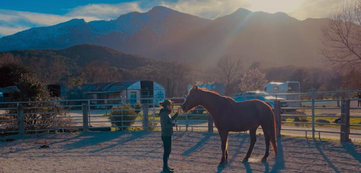 Randonnée éthologique à cheval en Corse - Caval&go