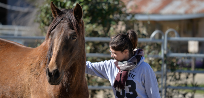 Randonnée éthologique à cheval en Corse - Caval&go